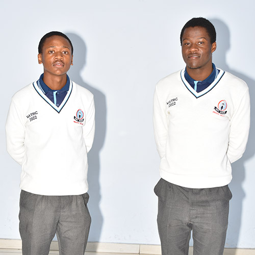 New Model EXTRA MURALS